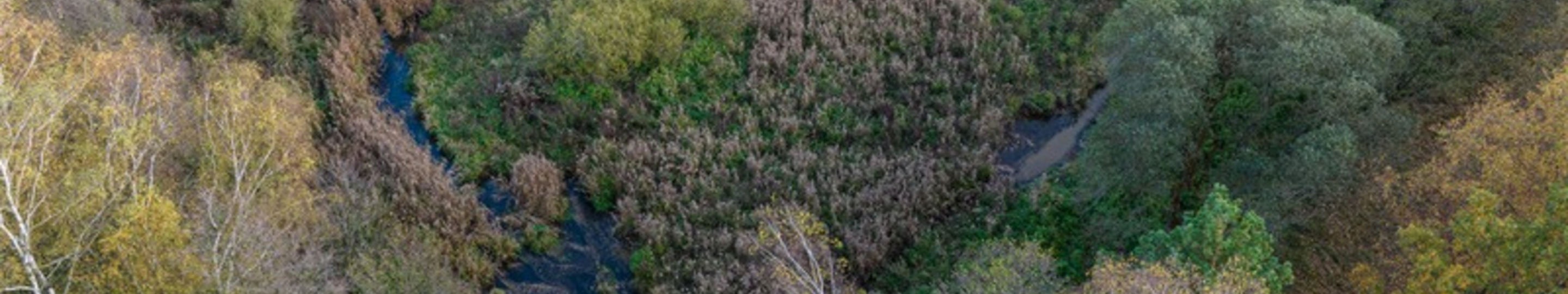 Landschaft aus dem gelieferten Seitenentwurf